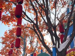 -沈阳方特欢乐世界