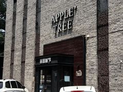 -苹果树下艺术餐厅(宋庄店)
