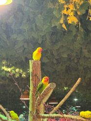 -酷嗒动物文化乐园(cutezoo西溪乐天城店)