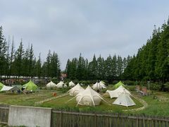 -前小桔亲子创意农场·草莓采摘·露营烧烤