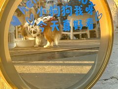 -小意思咖啡店(草桥店)
