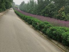 -紫颐香薰山谷景区