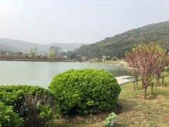 -龙寺生态园