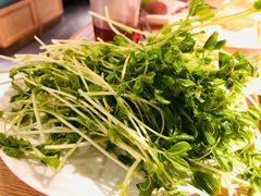 -温野菜涮涮锅(西单大悦城店)