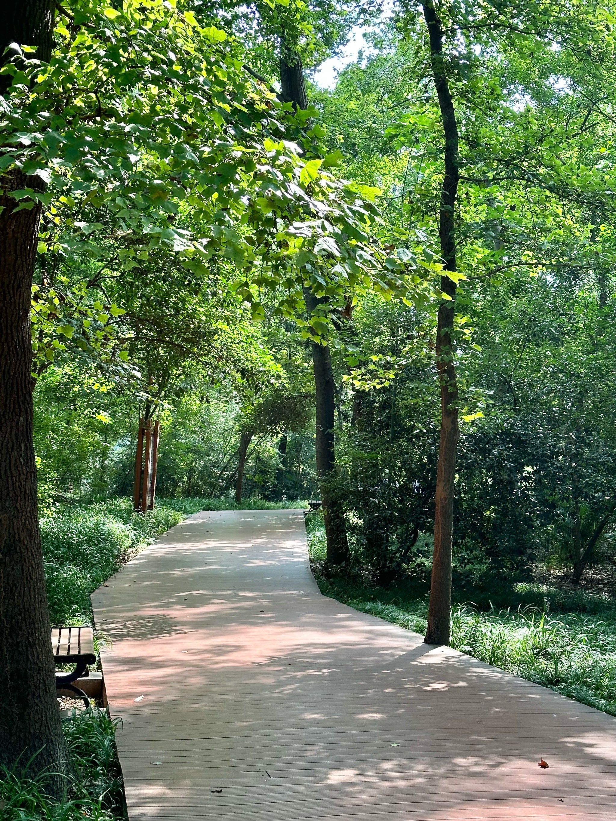 钟山风景区超绝攻略