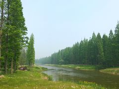 -黄海国家森林公园