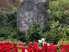 -洛阳市牡丹公园