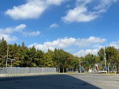 -上海山野camping·户外天幕烧烤·团建拓展营地