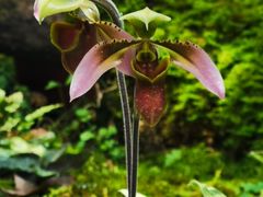 -国家植物园南园