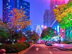 -中央公园(苏州工业园区)