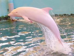 -庆丰包子铺(大红罗厂店)