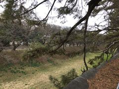 -名古屋城