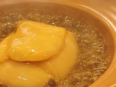 -大中鱼翅 Taitong Shark Fin
