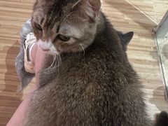 -喵小馆·猫咖狗咖猪咖·饮品店