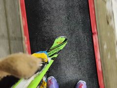 -赤马湖体育滑雪