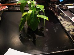 -王家渡火锅店(亦庄店)