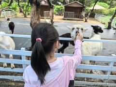 -光明农场大观园