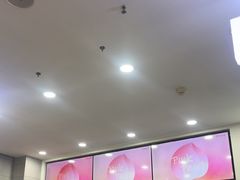 -雾与山茶(大禹城店)