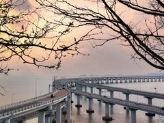 -星海湾跨海大桥