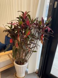 -和颜一美轻医美连锁