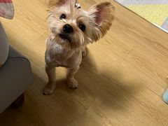 -佳雯宠物医院(四明中路分院)