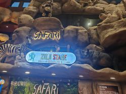 -卡通尼·Safari非洲探索乐园·生日会(金桥国际商业广场店)