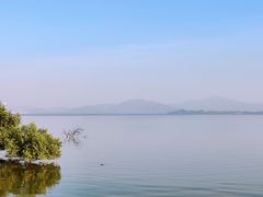 -深圳湾公园(南山区)