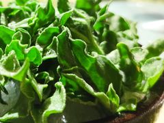 冰草-铜锣湾·有麝自然香(重庆新天地店)