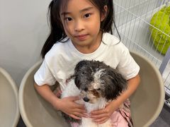 -有喵·猫咖·狗咖·40+猫狗有小奶狗(岗厦店)