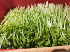-番食园鲜食火锅(高新店)