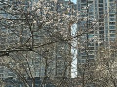 -西北湖绿化广场