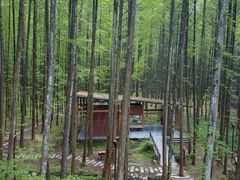 -山王坪喀斯特国家生态公园