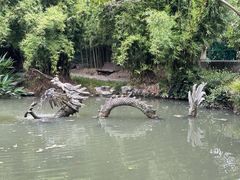 -汇龙潭