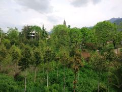 -西安关中民俗艺术博物院