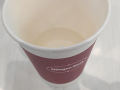 -哈根达斯(天河城店)