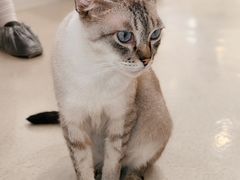 -共舞时光猫咖·狗咖(新街口店)