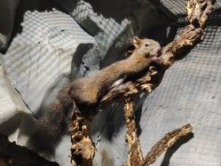 -Zoolung Zoolung动物主题公园(海信广场店)