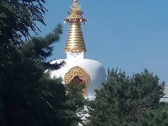 -护国法轮寺