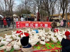 -辛庄国际文化艺术区