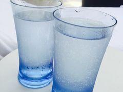 -新加坡文华东方酒店