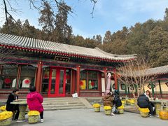 -宫事颐庭·老佛爷贵寿下午茶(颐和园店)