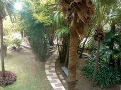 android_upload_pic-三亚亚龙湾凯莱仙人掌度假酒店