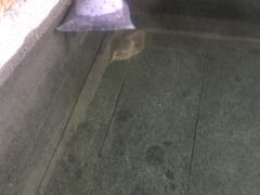 -咸宁万豪温泉谷度假区