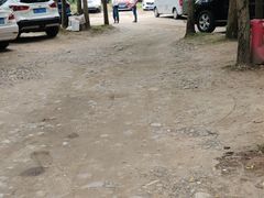 -桤木河湿地公园