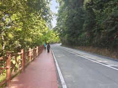 -广州市石门国家森林公园