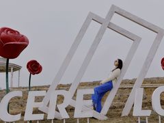 -大塘金香草谷