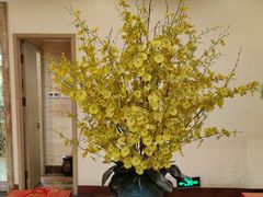 -顺峰·粤菜海鲜·早茶自助(阜成店)