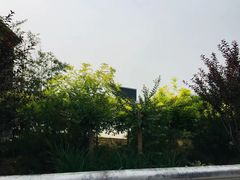 -李家庄村