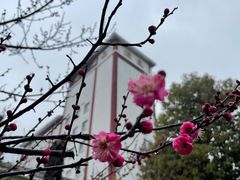 -观唐（国际）度假村温泉