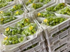 -江杨农产品批发市场